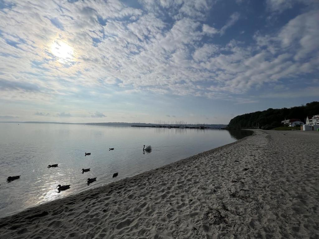 'Kapitaenslounge' Vollsanierte Fewo Mit Blick Auf Die Flensburger Foerde Harrislee Exterior foto